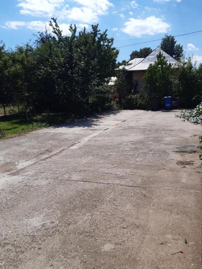 Anuta Hotel Breaza  Bagian luar foto
